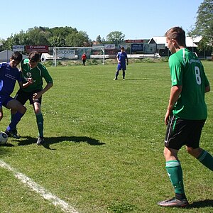 IMG 7057